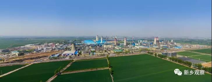 1544493594119167.jpg 5.jpg