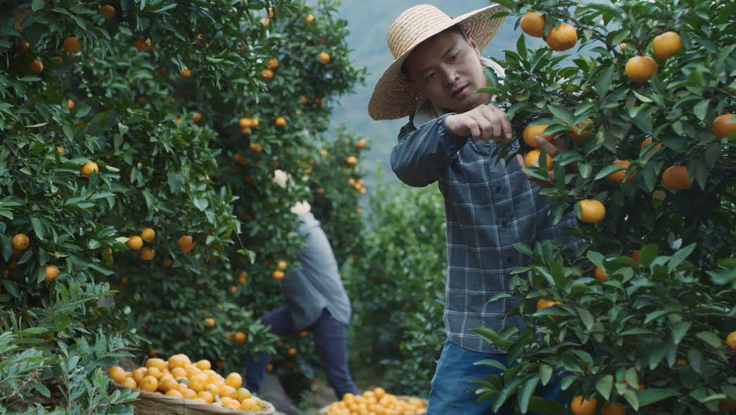 1556501461135468.png image.png