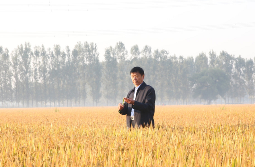 1556503333888132.png image.png