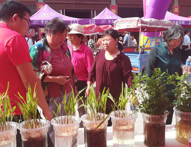 1558925695881290.png image.png