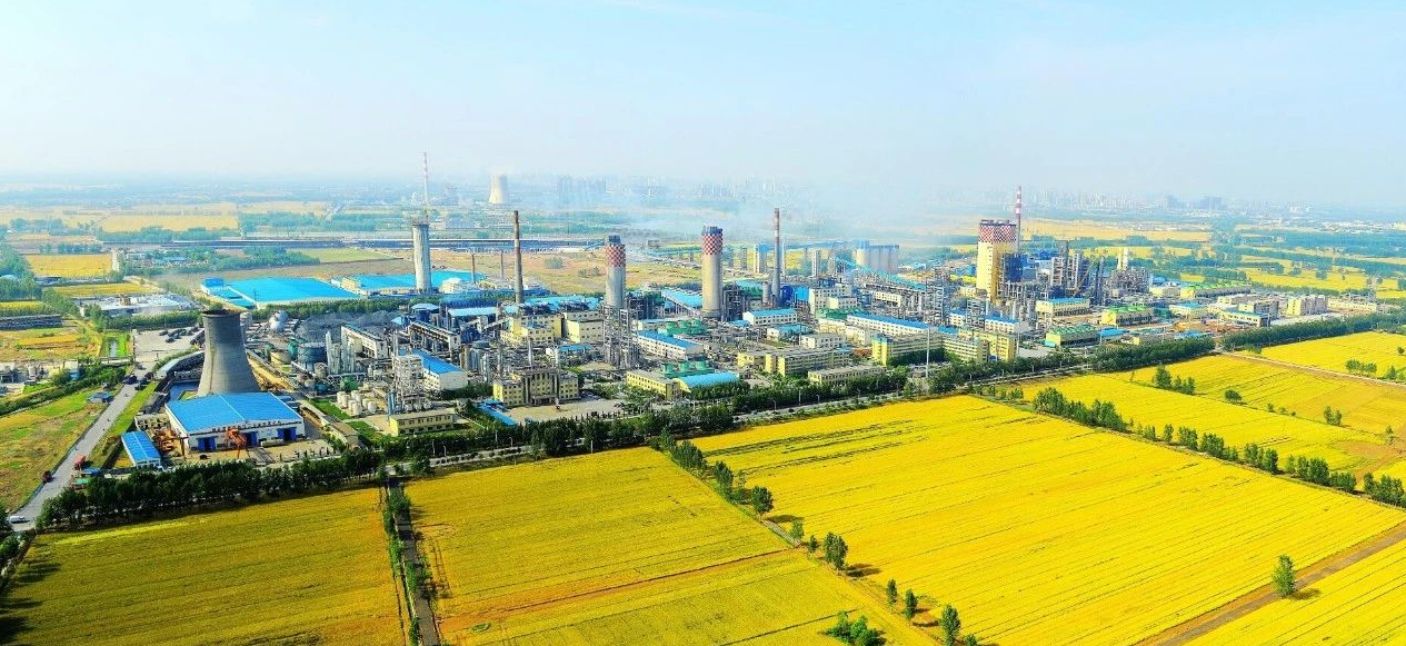 1570496403603520.png image.png