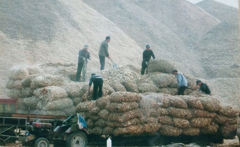 1570586743201603.png image.png