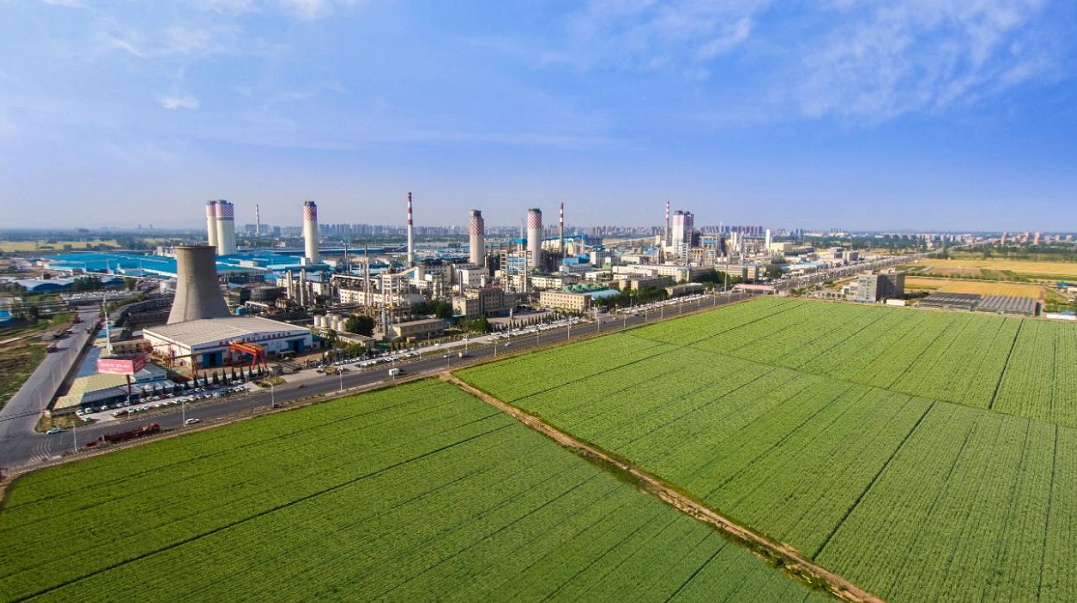 1591429360814766.png image.png