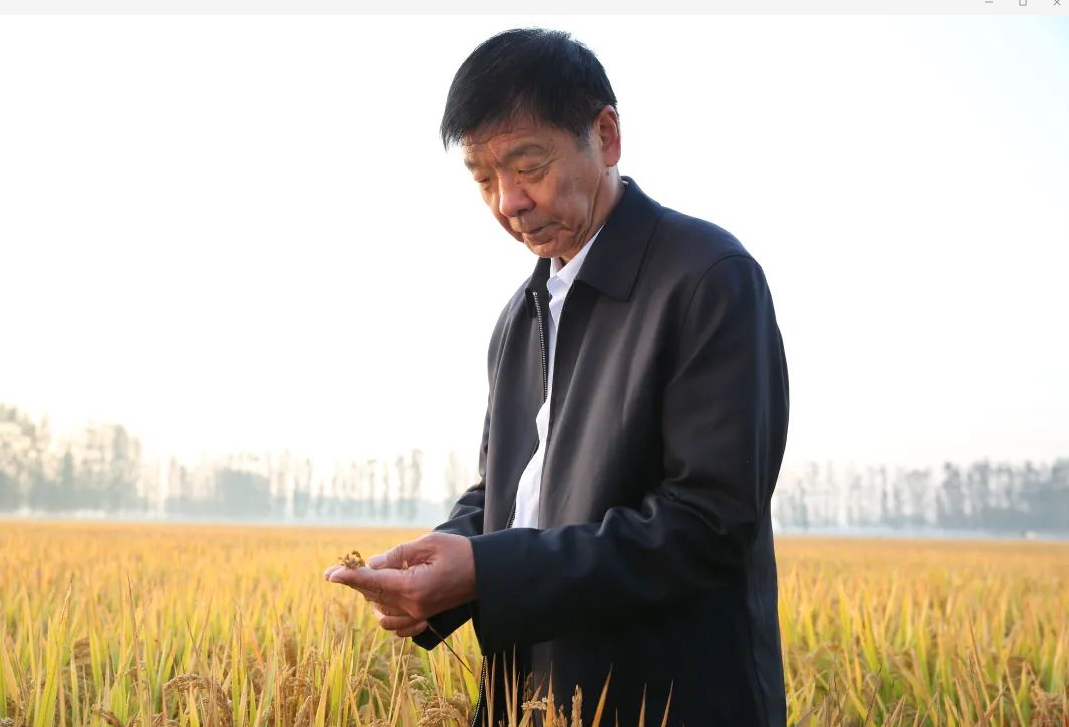 1596071665890563.png image.png