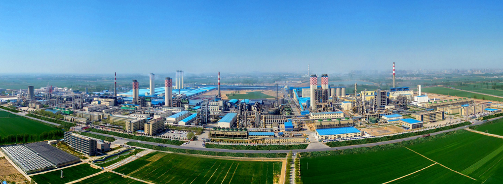 1600918357883861.png image.png