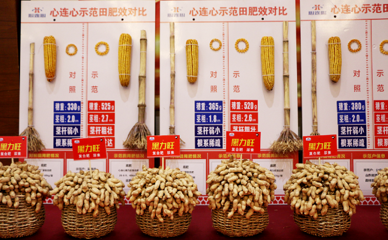 1605505484932461.png image.png