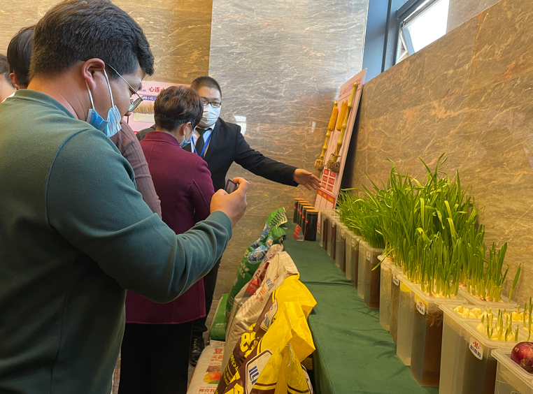 1635728311635341.png image.png