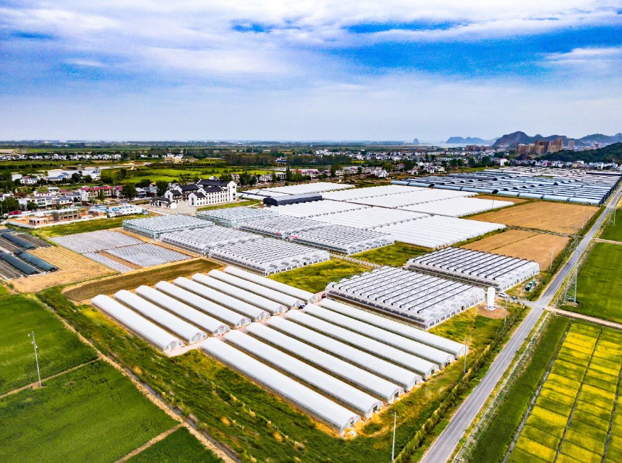 1680222520495960.png image.png