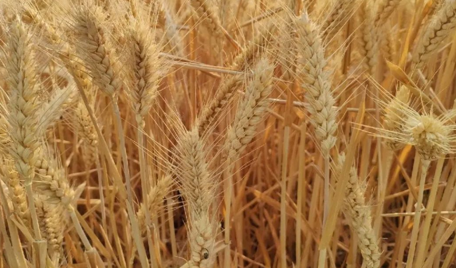 1685416978359517.png image.png