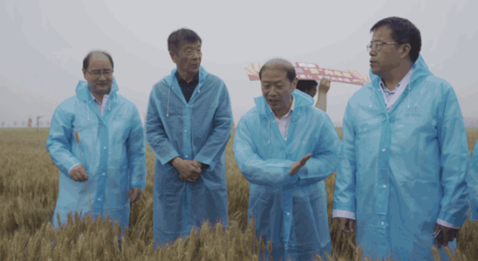 1685417166826248.png image.png