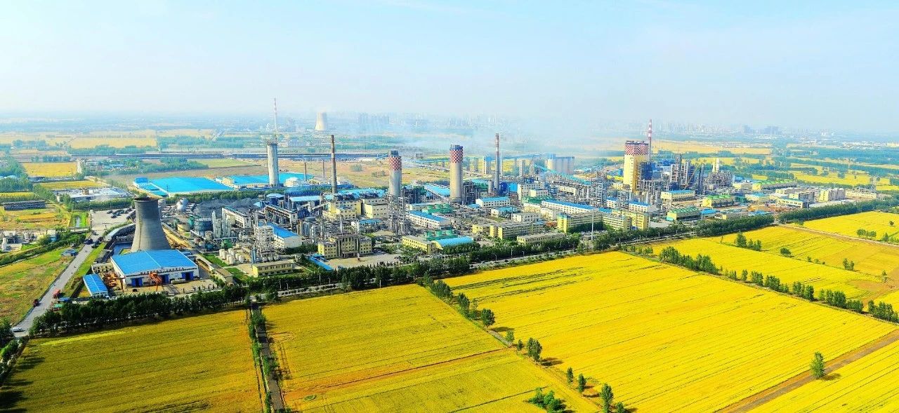 【心連心·瞬間】心連心化學(xué)工業(yè)集團建廠50周年回眸（四）