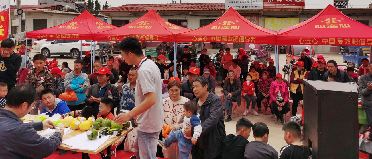 心連心喻屯甜瓜“豐收王”甜蜜開賽啦……