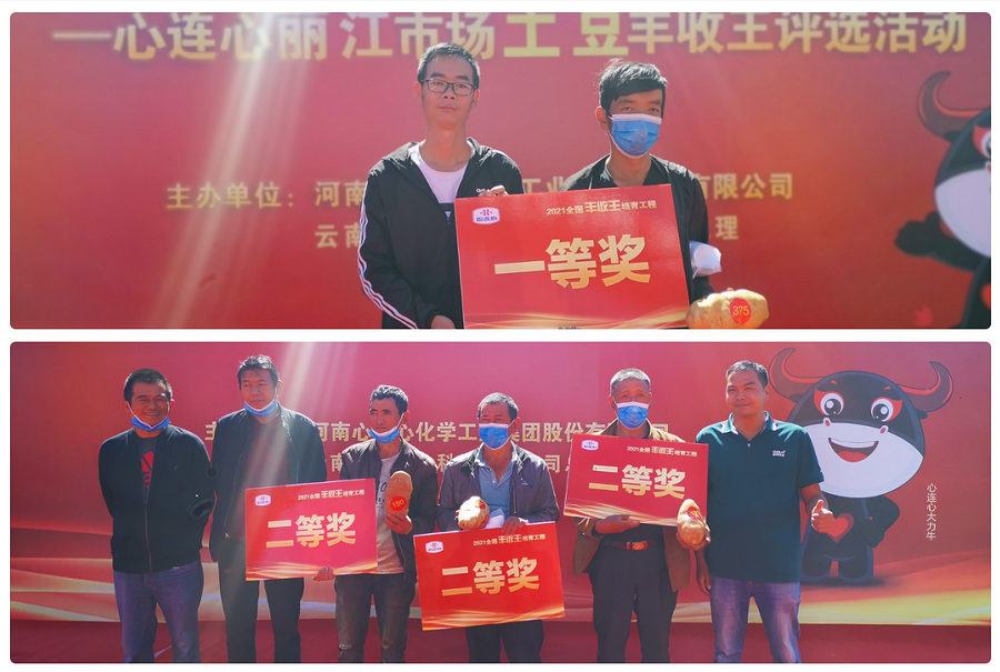 喜迎豐收，薯王爭霸！——心連心麗江市場土豆豐收王評選活動成功舉行